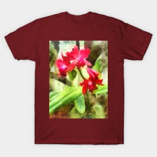 Maroon Cattleya Orchids T-Shirt